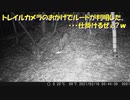（トレカメ、パねぇな？ｗ）変態忍者の、有害鳥獣駆除従事活動記・その１６３