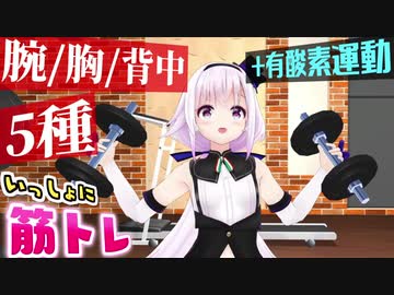 【筋トレ】カルロ・ピノといっしょにトレーニング【上半身：5種＋α】