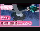 【ポケモン剣盾/DLC1鎧の孤島】ポケモン好きが、初めて種族値・個体値を意識し冒険！【実況】#55