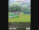 ビワハヤヒデかっこいい