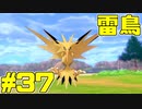 【役割論理】ポケモン剣盾で役割論理ですぞpart37 いつの環境でも強い鳥編【ヤンダー】