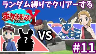 ランダム縛りでクリアーするポケモンY Part11