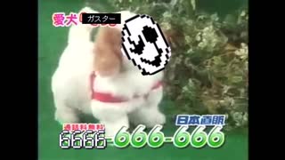 愛犬ロボガスター