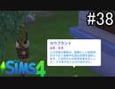 【実況】ぼくとゆかいな仲間の楽しい生活【SIMS4】part38
