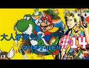 もんちん88の【マリオワールド】part14