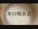 米の吸水音