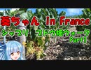 【VOICEROID車載】葵ちゃん in France : ブドウ畑ウォーク Part1