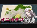 釣れなくても料理！オニカサゴのお刺身！【VOICEROIDキッチン】