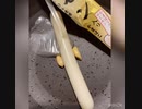 TNTN EAT NEET