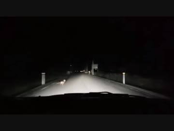 また山奥でイノシシに遭遇してその後キツネを轢きそうになるおったん