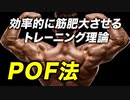 【POF法】効率的に筋肥大を実現する筋トレ理論【ビーレジェンド プロテイン】