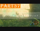 【ゼルダの伝説BotW】#37「コログの試練」