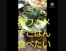 板ワカメで美味しくごはん食べたい みためより年齢低めにみられるワカメ違った若め