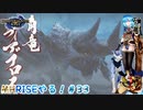 【実況】MHRISEやる！【33】