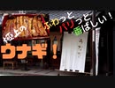 【埼玉県川越市】お食事処林屋【うな重特上】