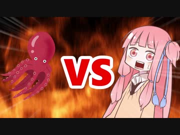 茜ちゃんVSタコ