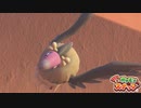 【newポケモンスナップ】パパラッチのポケラッチ9【ゆっくり実況】