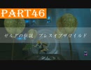 【ゼルダの伝説BotW】#46「いつも試練に振り回される」