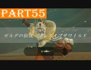 【ゼルダの伝説BotW】#55「雷鳴の兜とイーガ団総長コーガ様（様）」