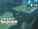 【ゼルダの伝説ブレスオブザワイルド】ごり押しの男【実況プレイ】#18