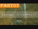 【ゼルダの伝説BotW】#57「どこの村でも困っている人がいる定説」