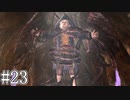 PS5が手に入らないならバイオハザード4をやればいいじゃない？#23【PS4バイオハザード4】