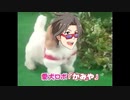 愛犬ロボ「かみや」