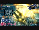 【MHRise】チャアク防具なし縛り実況『ヌシ・ジンオウガ』【55】