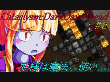 【Cataclysm:DDA】姫様は魔法使い#2