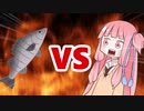 茜ちゃんVSスズキ