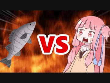 茜ちゃんVSスズキ