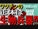 【11分でゆっくり解説】効果がないどころか超有害！ワクチンの罠｜船瀬俊介