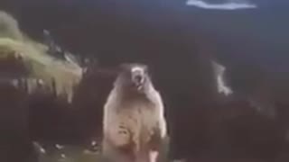 アーーーーげません!!