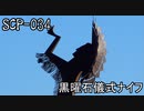 SCPを自分なりに説明してみる034【黒曜石儀式ナイフ】