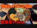 吉田のうどんとがわさんで楽しく食べてきた