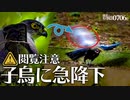 0706B【タカ科ツミにカラスの子どもが襲われる】猛禽類VSカラス。カルガモ親子がはぐれて迷子の雛鳥。野鳥対決。カルガモ、バン、アオサギ、オナガ、ムクドリ捕食　#身近な生き物語　#カルガモ親子　#ツミ