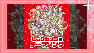 【直撮りmaimai】ビックカメラのテーマソング EXPERT _AP