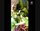 冷やし中華も板ワカメふりかけたいturtleそれワカメ