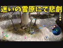 【ピクミン3】最終エリアに向けてフルーツ回収「迷いの雪原編」【実況】