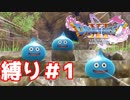 敵が強いしウソもつく【ドラゴンクエスト11S】縛り初見プレイ＃１