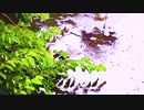 A.R.T. landscape