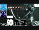 見た目しか見どころのないボス戦 - ダークソウル2【Dark SoulsⅡ】 #9