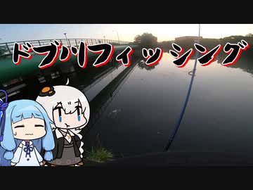 見える魚に翻弄されるおじさんを実況する紲星と琴葉【VOICEROIDフィッシング】