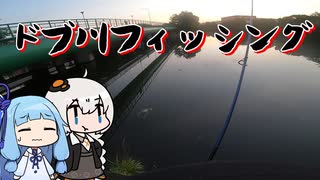 見える魚に翻弄されるおじさんを実況する紲星と琴葉【VOICEROIDフィッシング】