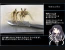 珍食材が食べたい！#9　「ツルニンジン」の味噌マヨ和え