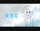 【ひげろ強化週間五日目】ひげろで夏透写【APヘタリア人力ボカロ】