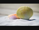 【フリーBGM】ピアノの明るく穏やかなポップ｜音楽素材