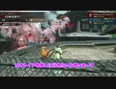 【MHRize】リオレイアなんて簡単やろ#9