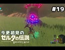 【ゼルダの伝説ブレスオブザワイルド】ガーディアンは回避するのが無難です【実況プレイ】#19