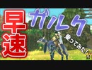 【MHS2】本日実装！オトモガルクをゲット！早速ライドしてみた！モンスターハンタ―ストーリーズ2【ゲーム実況】#2